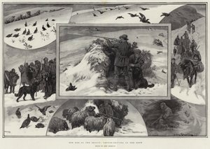 La fin de la saison, chasse au tétras dans la neige